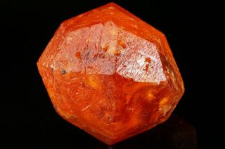 EXRAORDINARY LARGE GEM Spessartine Garnet Crystal LOLIONDO,  TANZANIA 6