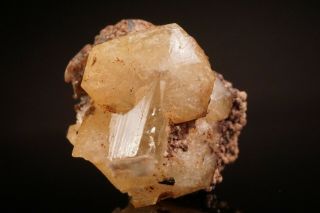 Extraordinary Catapleiite & Gem Epididymite Crystal Mont Saint - Hilaire,  Canada