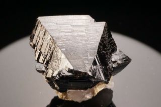 Cassiterite Crystal Twin IULTIN MINE,  RUSSIA - Ex.  Pinch 3