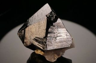 Cassiterite Crystal Twin IULTIN MINE,  RUSSIA - Ex.  Pinch 4