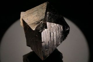 Cassiterite Crystal Twin IULTIN MINE,  RUSSIA - Ex.  Pinch 6