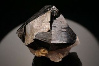 Cassiterite Crystal Twin IULTIN MINE,  RUSSIA - Ex.  Pinch 7