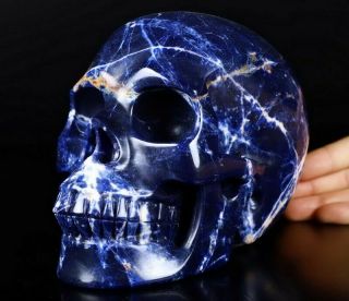Lifesized 7.  0 " Sodalite Carved Crystal Skull,  Realistic,  Crystal Healing