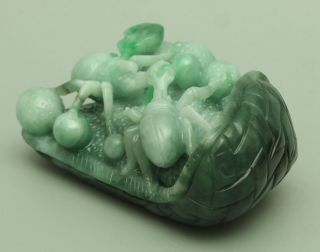 Cert ' d Untreated Green Nature A jadeite Jade Statue Sculpture spider 蜘蛛 q70258H 3