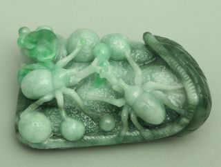 Cert ' d Untreated Green Nature A jadeite Jade Statue Sculpture spider 蜘蛛 q70258H 5