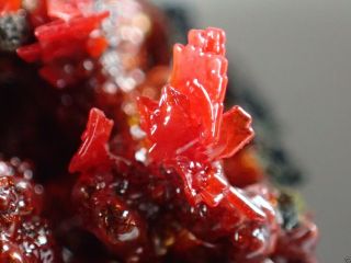 Alacranite Red Crystals On Matrix Rare Radvanice,  Czech Republic
