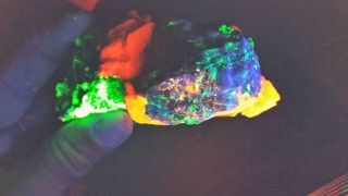 Fluorescent Hardystonite Clinohedrite Willemite & Calcite Crystal Franklin USA 10