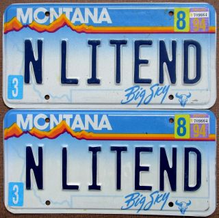 Inspired Brain Food N Litend On 1994 Montana License Plate Pair