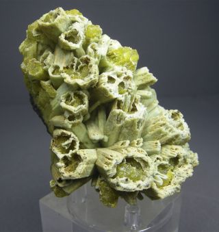 16.  48 Plumbogummite after Pyromorphite 9x6.  5 cm Yangshuo Mine,  Guilin Pref China 2