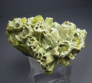16.  48 Plumbogummite after Pyromorphite 9x6.  5 cm Yangshuo Mine,  Guilin Pref China 4
