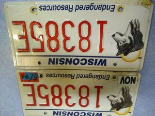 Vintage 1996/1997 Endangered Species License Plate Set.  Wis.  Plates.  Wolf.