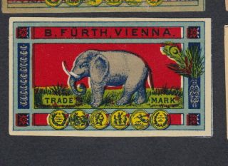 Old Matchbox Label Glazed Austria Bn68896 Elephant China
