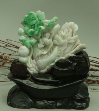 Cert ' d Untreated Green Nature A jadeite Jade Sculpture statue cabbage 白菜 q72551Q 10