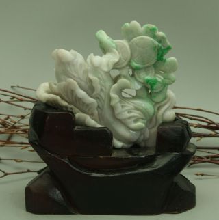 Cert ' d Untreated Green Nature A jadeite Jade Sculpture statue cabbage 白菜 q72551Q 11