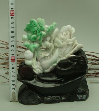 Cert ' d Untreated Green Nature A jadeite Jade Sculpture statue cabbage 白菜 q72551Q 2