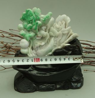 Cert ' d Untreated Green Nature A jadeite Jade Sculpture statue cabbage 白菜 q72551Q 3