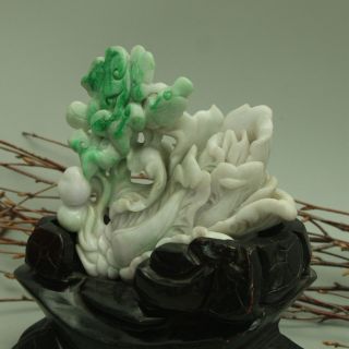 Cert ' d Untreated Green Nature A jadeite Jade Sculpture statue cabbage 白菜 q72551Q 7