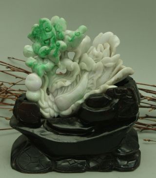 Cert ' d Untreated Green Nature A jadeite Jade Sculpture statue cabbage 白菜 q72551Q 9