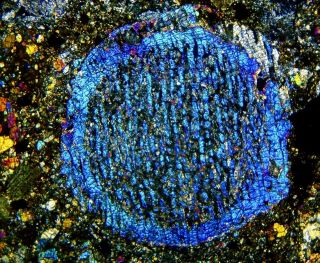 Meteorite NWA 11344 - L3 - 4 Chondrite BIG blue BO Chondrule Thin Section 3