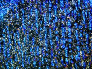 Meteorite NWA 11344 - L3 - 4 Chondrite BIG blue BO Chondrule Thin Section 4