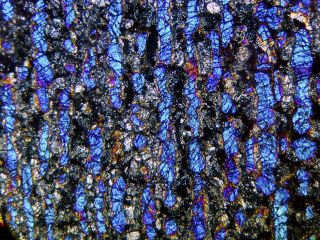 Meteorite NWA 11344 - L3 - 4 Chondrite BIG blue BO Chondrule Thin Section 5