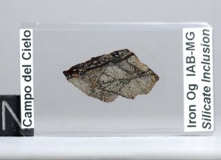 Meteorite Campo Del Cielo - Thin Section Of Winonaite Silicate Inclusion Rare