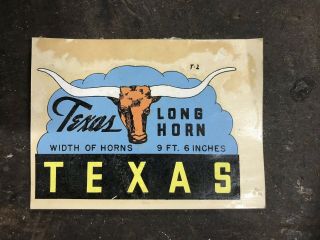 Vintage Travel Luggage Decal Texas Long Horn Label