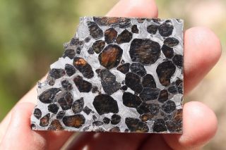 Sericho meteorite pallasite from Kenya part slice 12.  7 grams 2
