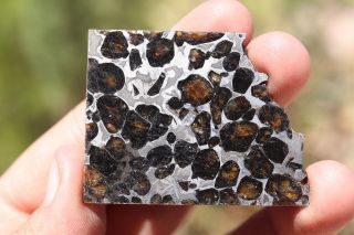 Sericho meteorite pallasite from Kenya part slice 12.  7 grams 3