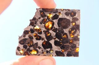Sericho meteorite pallasite from Kenya part slice 12.  7 grams 4