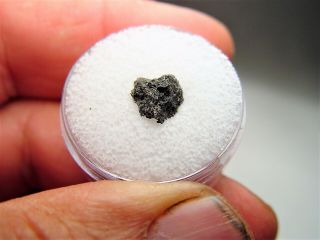 Rare Shocked With Vesicules Nwa 11288 Martian Shergottite Meteorite.  211 Gms