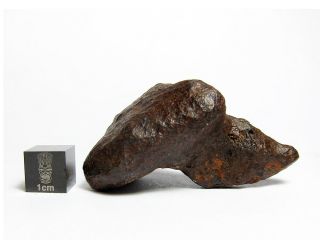Mundrabilla Iron Meteorite 92.  21g ‘Batmobile’ Stunning Siderite Showpiece 3