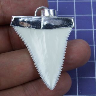 1.  633  Modern Upper Great White Shark Tooth Necklace Silver Cap SN61 2