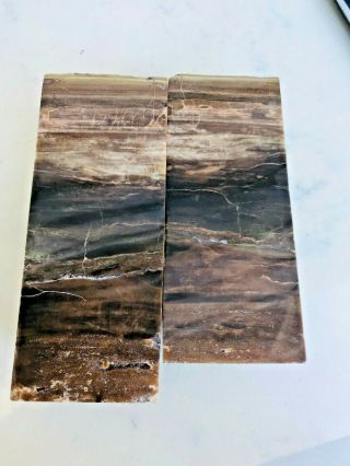 Split Pair Specimen Opalized/ Crystallized Petrified Wood,  Ciliata; Fossil 5