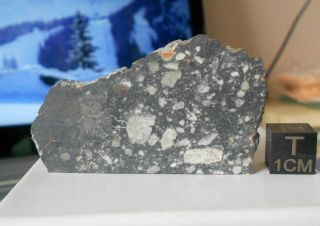 Meteorite Nwa 11273 (lunar) - 9.  0 G