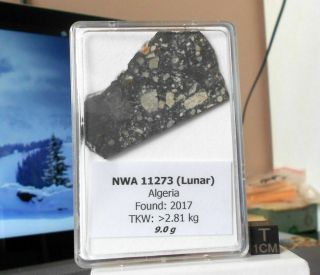 Meteorite NWA 11273 (Lunar) - 9.  0 g 3