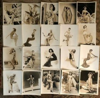 1941 - 1943 Hollywood Mgm Starlets 50 8x10 Wwii Pinup Photos
