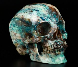 Gemstone 5.  0 " American Chrysocolla Carved Crystal Skull,  Realistic