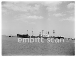 Negative,  Belgian Cargo Ship Christian Sheid,  1956