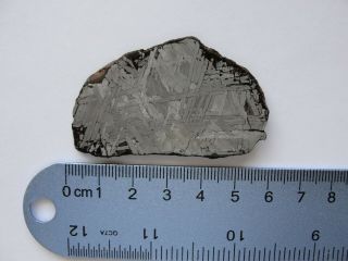 Trenton,  Wisconsin Iiiab Medium Octahedrite 47 Gram Full Slice Meteorite