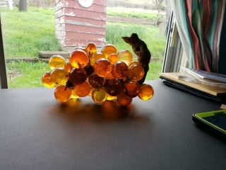 Large YELLOW ORANGE Mid Century LUCITE ACRYLIC Grapes GRAPE Cluster DRIFTWOOD 3