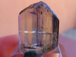 Superior Striated Gem Bi Color Tanzanite Crystal Top Quality Tanzania 7