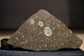 Meteorite Nwa 11545 - Carbonaceous Chondrite : Type Cv3 - Full Slice