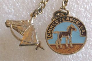 Vintage Town Of Chincoteague,  Va Tourist Travel Souvenir Collector Pin - Virginia