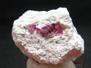 Gem Rare Bixbite Red Emerald Crystal On Matrix From Utah - 1.  2 "
