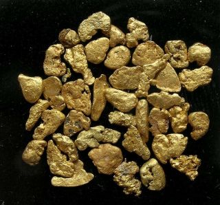 JUMBO 34.  8 GRAIN PILE of GOLD NUGGETS: YUBA RIVER,  DOWNIEVILLE,  CALIFORNIA - NR 3