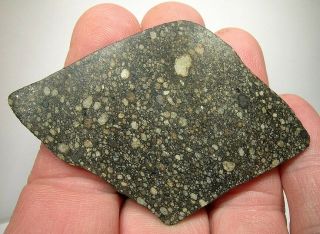 Full Slice 18.  5 Gram L3.  4 S2 W1 Chondrite Meteorite: Nwa 10799,  Found 2016 - Nr