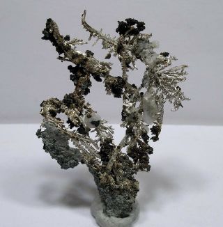 Exquisite Dendritic Crystal Silver: White Pine Mine Ontonagon Co,  Michigan - Nr