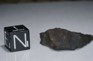 Aguas Zarcas Costa Rica CM2 classified carbonaceous chondrite meteorite 4.  1g 2