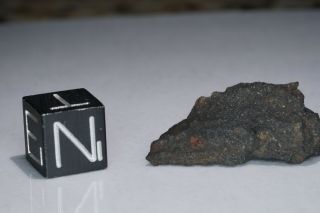 Aguas Zarcas Costa Rica CM2 classified carbonaceous chondrite meteorite 4.  1g 3